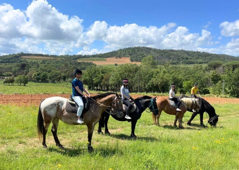 Grimaud: Horseback Riding & Wine Tasting in Maures Forest