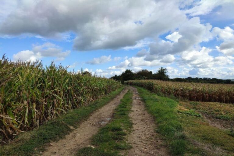 Hiking Adventure in Van Goghs Footsteps (6 Miles Walk)