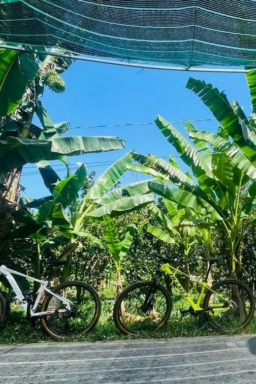 Ho Chi Minh: Mekong Delta Day Trip Small Group (Max 11 Pax) - Tour Overview and Pricing