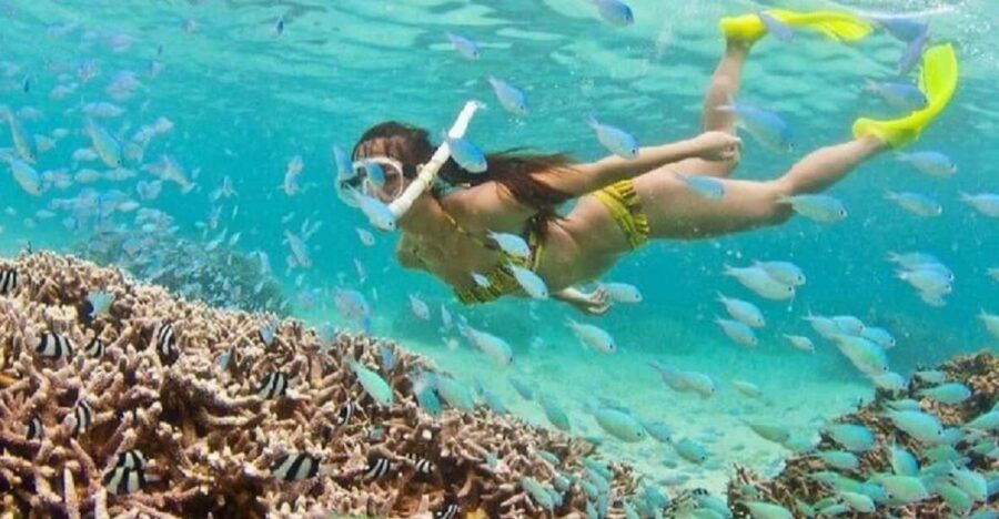 Hoi An: Cham Islands Snorkeling Trip by Speedboat With Lunch - Trip Overview and Pricing