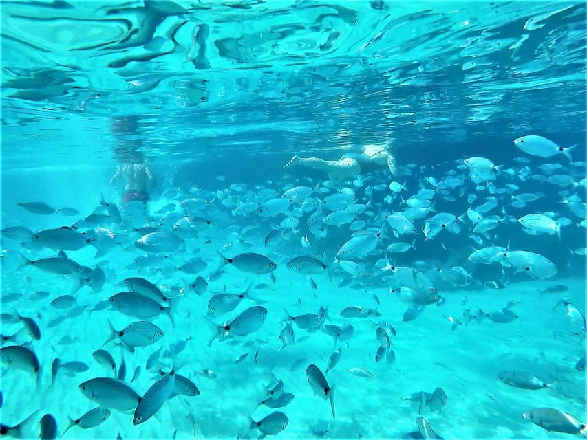 Ibiza: Snorkeling and SUP Paddle, Beach and Cave Boat Tour - Tour Overview and Pricing