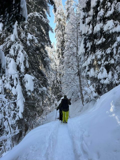 Interlaken. Hiking and Fondue Adventure in the Swiss Alps.