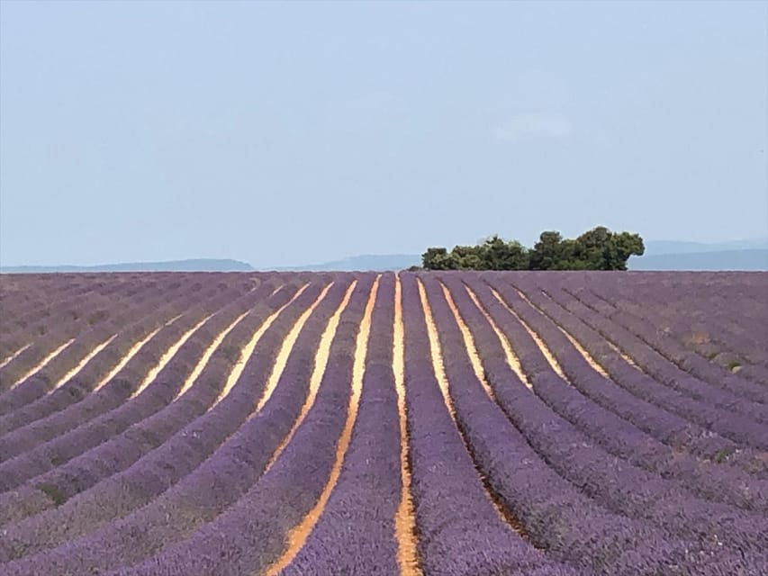 Japanese-Speaking Guide in the Luberon - Tour Overview and Pricing