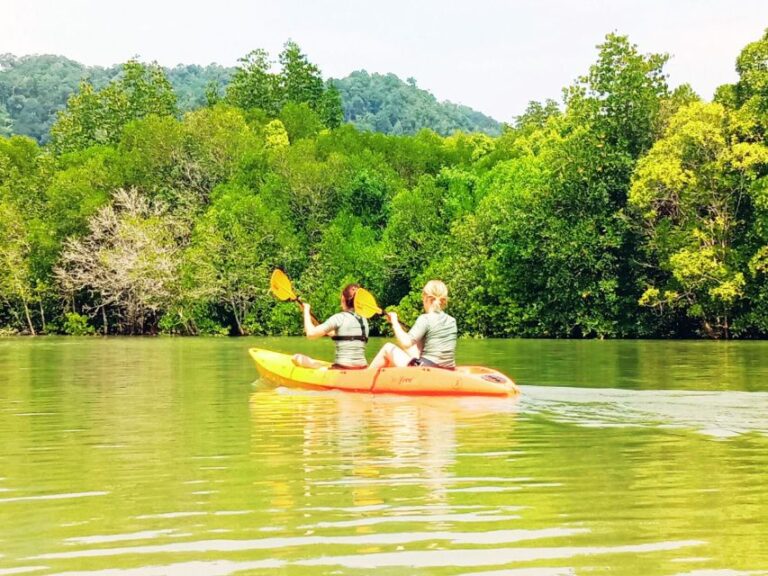 Ko Lanta: Half-Day Mangrove Kayaking With Lunch