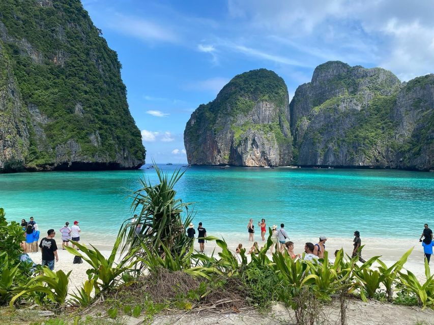 Ko Phi Phi Don: Speedboat Day Trip With Shark Snorkeling - Overview of the Ko Phi Phi Don Speedboat Tour