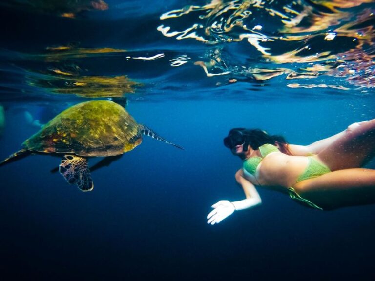 Ko Tao: Late Riser Snorkeling Tour With Lunch and Photos