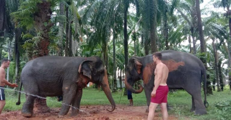 Krabi Elephant Bathing and Atv Adventure (30min/30min)