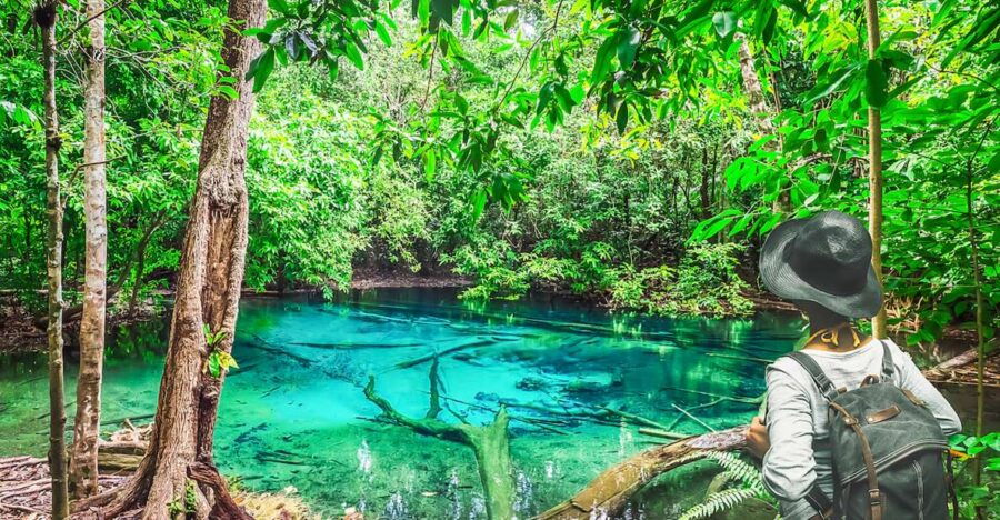 Krabi: Tiger Cave Temple, Emerald Pool and Hot Springs Tour - Tour Overview