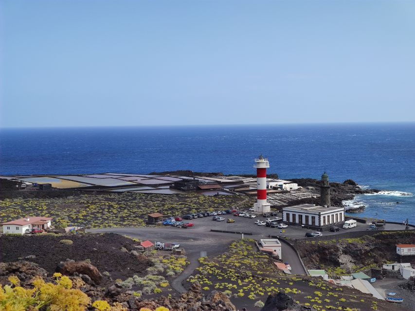 La Palma: San Antonio and Teneguia Volcanoes Tour by 4x4 Bus - Tour Overview