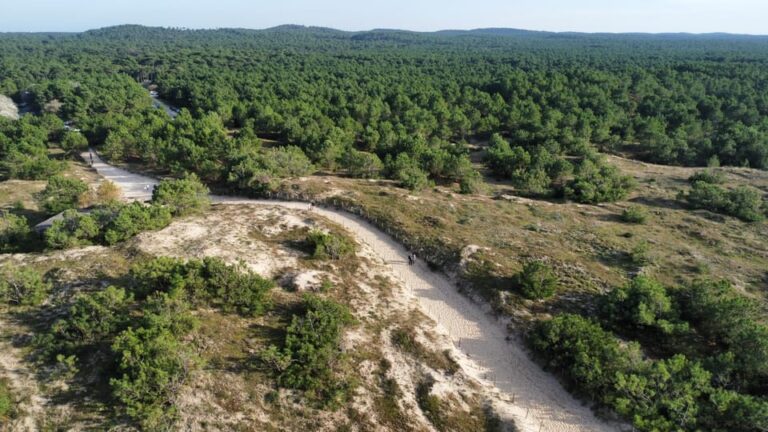 La Tremblade: Hiking in the Domanial Forest of Coubre