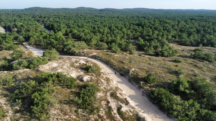 La Tremblade: Hiking in the Domanial Forest of Coubre - Activity Overview