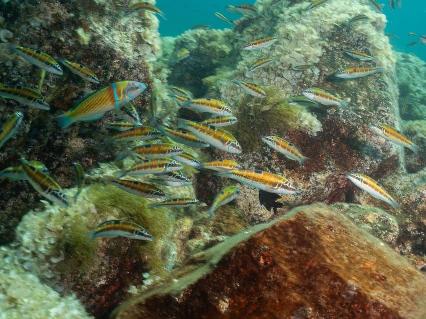 Lanzarote: Scuba Diving Refresher Course - Course Overview