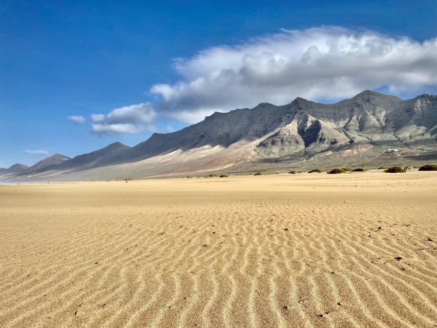 Las Palmas: Fuerteventura Cofete Beach and Desert Safari - Tour Overview and Pricing