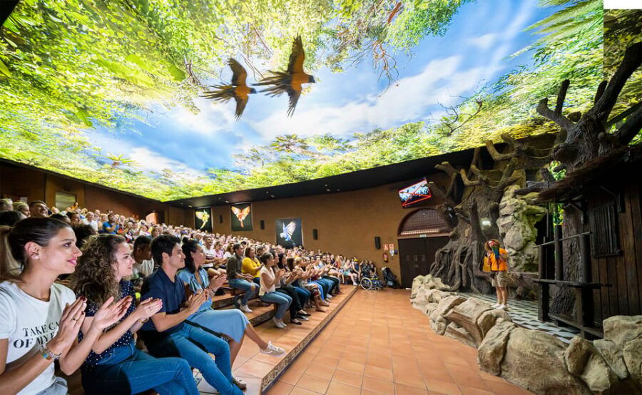 Loro Parque and Siam Park Combined Admission Tickets - Ticket Information