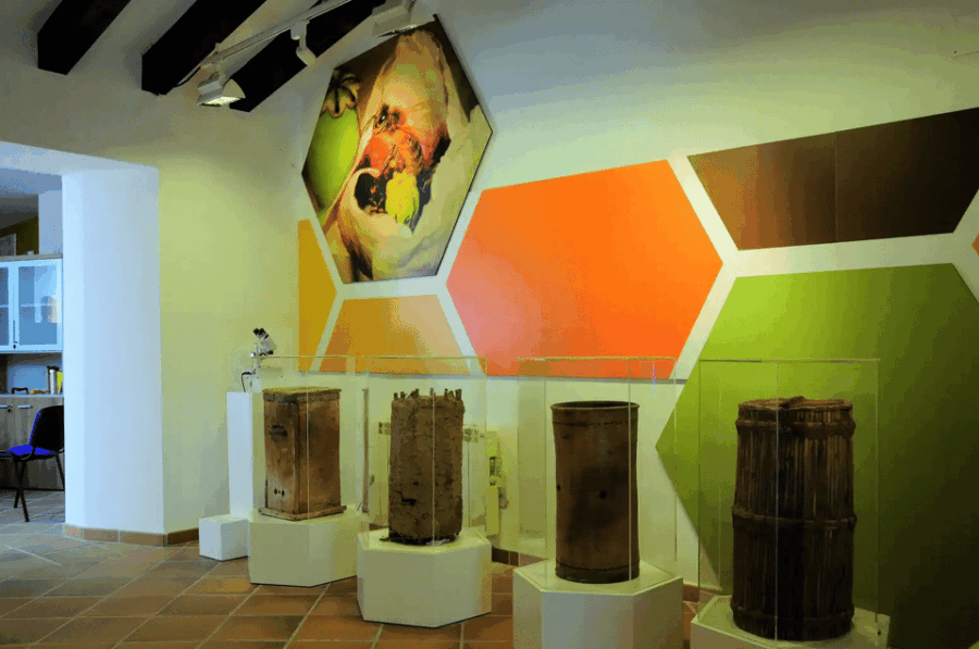 Malaga: Honey Museum Entry Ticket - Ticket Information and Booking