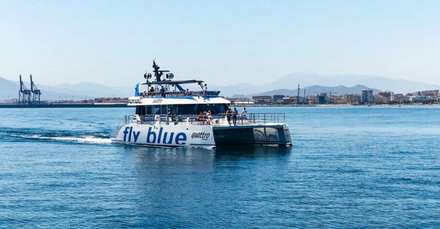 Malaga: Scenic Catamaran Cruise - Overview of the Catamaran Cruise Experience