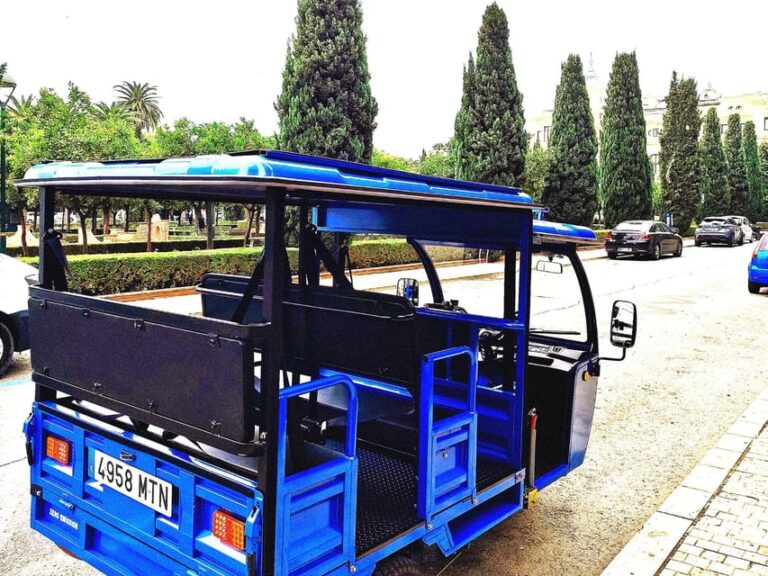 Malaga: Tuk Tuk Tour