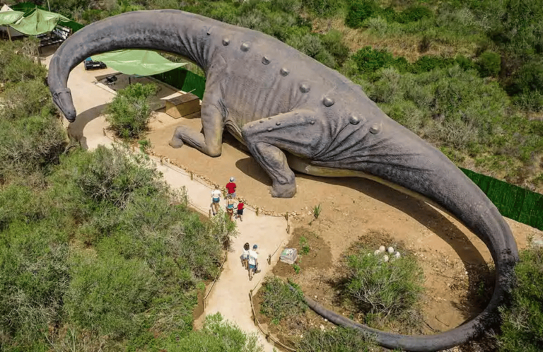 Mallorca: Dinosaurland Park, Hams Caves & Porto Cristo Tour
