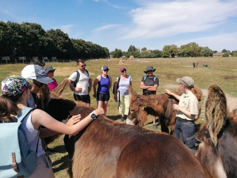 Marais Poitevin: Discovery Day in the Footsteps of the Baudet