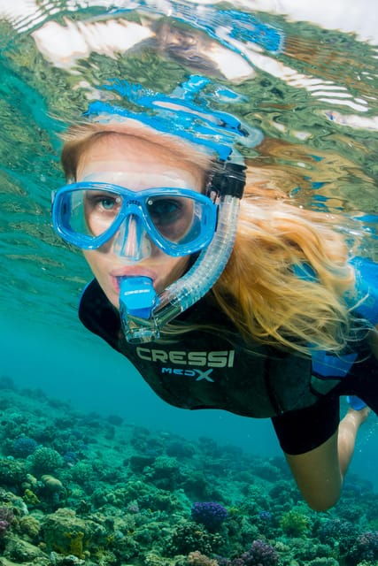 Marina Baie Des Anges Boat Trip to the Pelagos Sanctuary - Trip Overview and Pricing