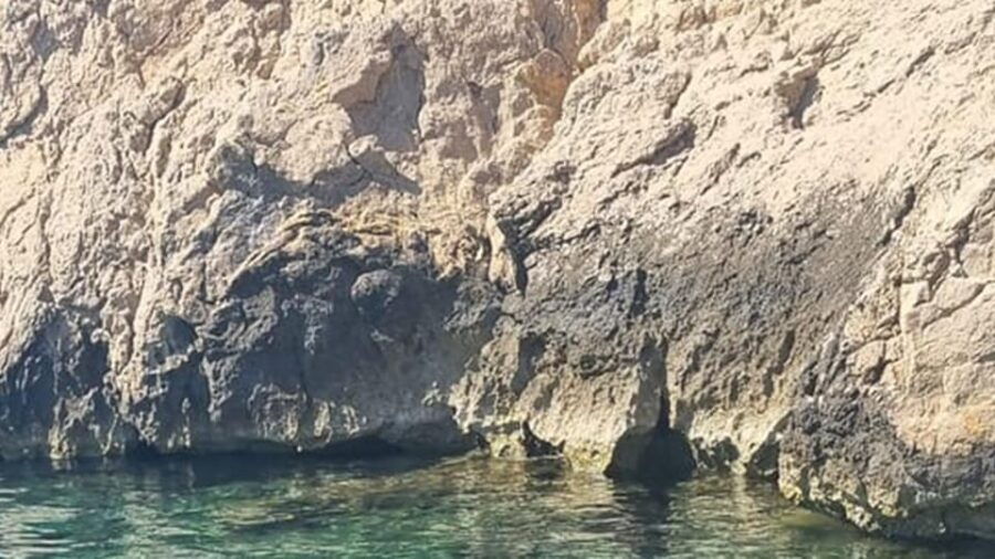 Marseille: Calanques National Park Eco-Friendly Cruise - Overview of the Eco-Friendly Cruise