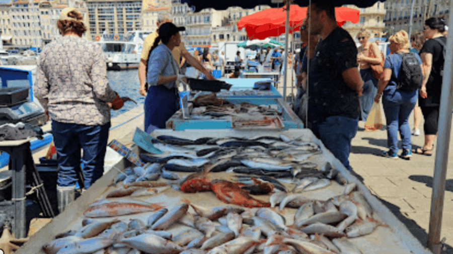 Marseille Gourmet Food Walking Tour : Taste Maritime Culture - Tour Overview and Pricing