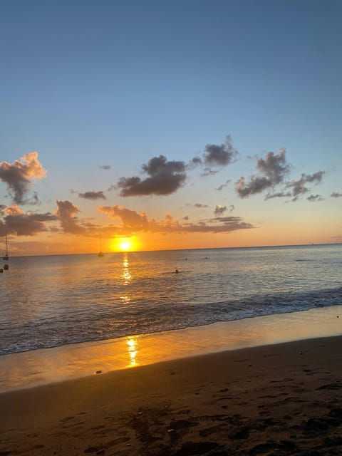 Martinique: Private Tour With Local Guide - Overview of the Private Tour Experience