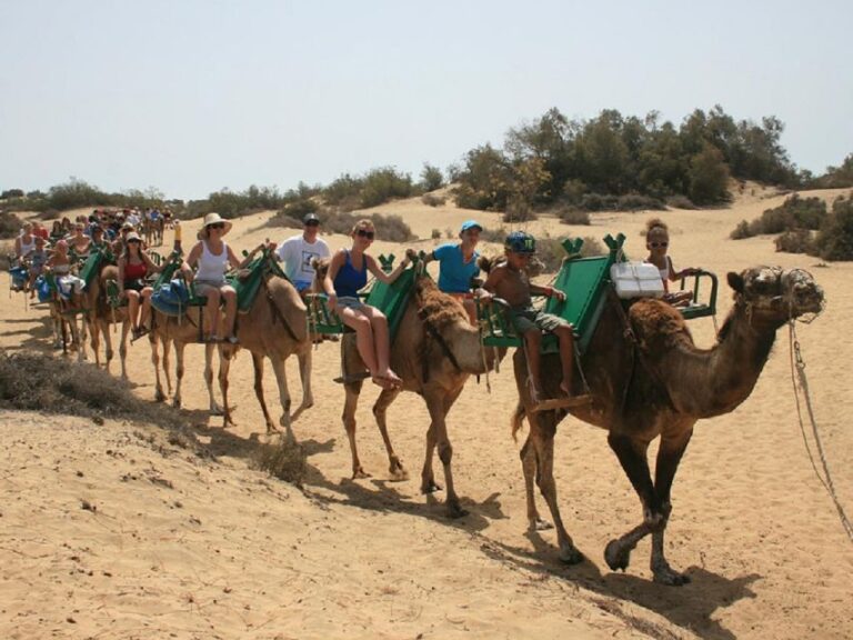 Maspalomas: 2-Seater E-Scooter Dunes Tour /Optional Camel
