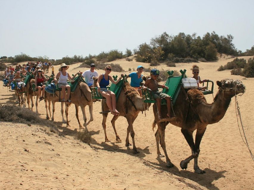 Maspalomas: 2-Seater E-Scooter Dunes Tour /Optional Camel - Tour Overview