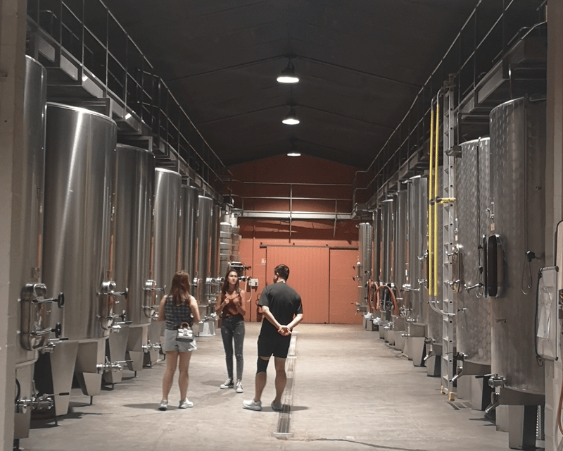 Médoc Wine Tour From Bordeaux: 2 Wineries & 6 Wines - Overview of the Médoc Wine Tour