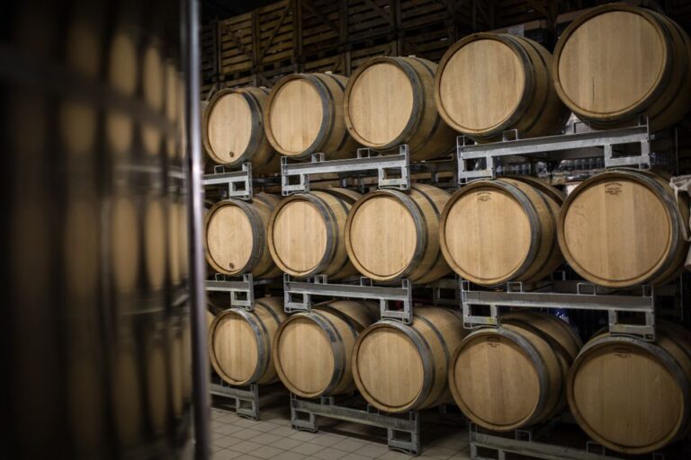 Meunier Experience – English Tour – Champagne Passy-Grigny