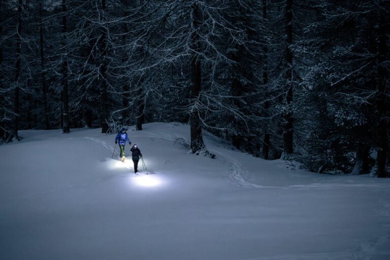 Milky Way: Night Snowshoeing Under the Stars