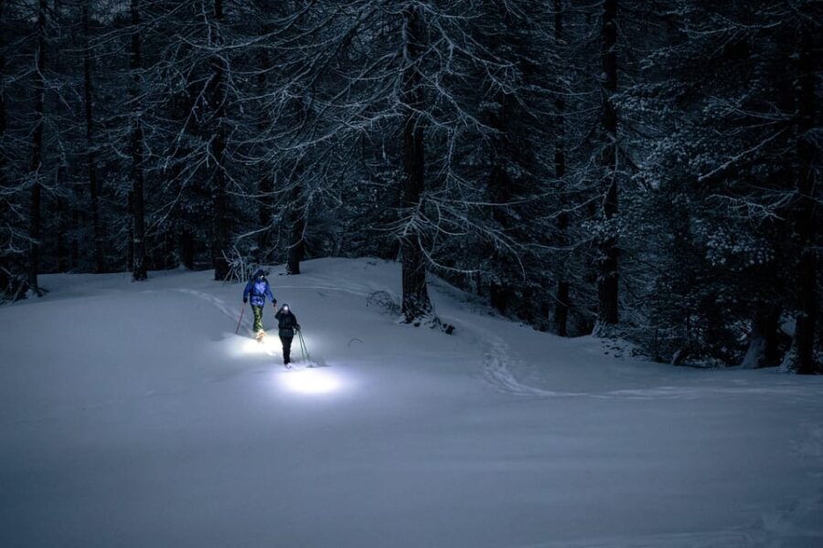Milky Way: Night Snowshoeing Under the Stars - A Winter Wonderland Awaits