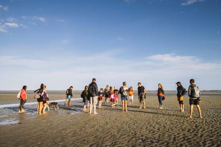 Mont-Saint-Michel: Walk in the Heart of the Bay