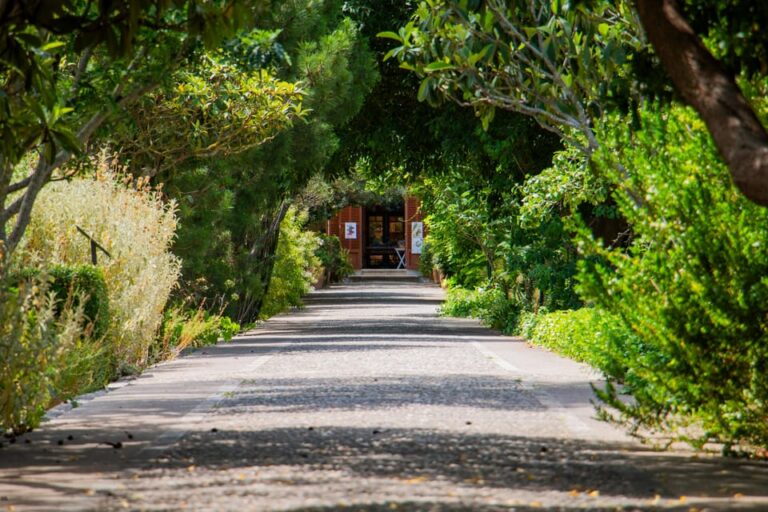 MUCBO | Sóller Botanical Garden – Balearic Museum of Natural Sciences