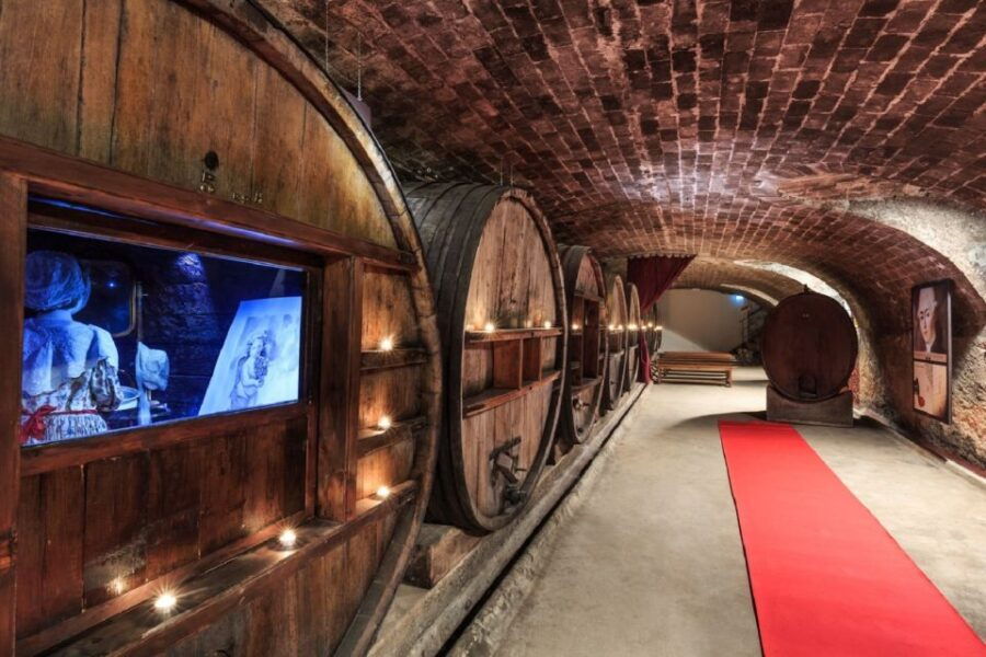 Nice: Full-Day Côtes De Provence Wine Tour - Overview of the Tour