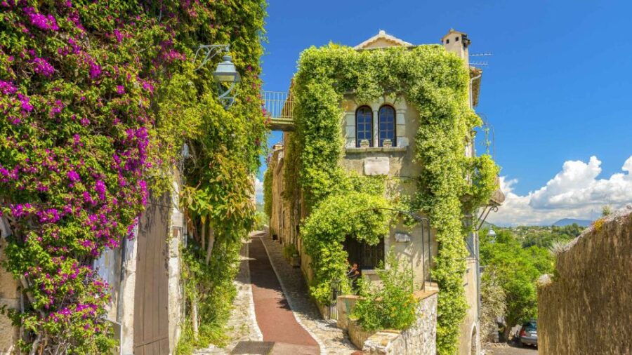 Nice: Medieval Villages Full-Day Guided Trip - Tour Overview and Pricing