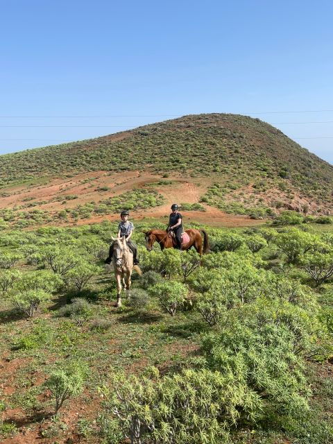 Ojos De Garza: 2-Hour Las Palmas Mountains Horse Riding Tour