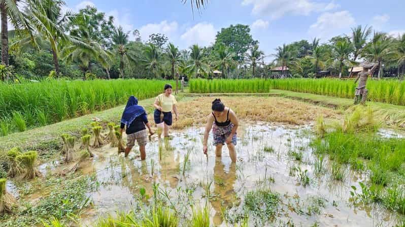 Old Phuket Farm Ticket - Countryside Local Life Culture - Overview of Old Phuket Farm Experience