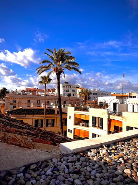 Palma Authentically. City Tour With Snacks and Wine - Activity Overview