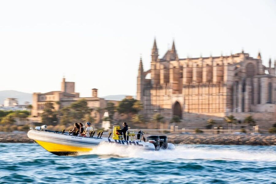 Palma Bay: Speedboat Discovery Tour - Tour Overview