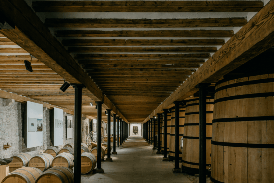 Pamplona: Otazu Wineries - Grape Varieties: The Heart of Otazu Wines