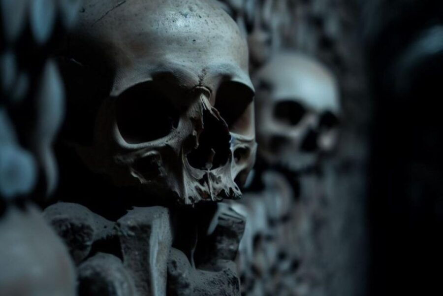 Paris: Catacombs, Audio Guide, and River Cruise Option - Activity Details