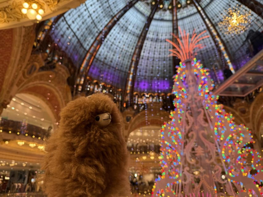 Paris: Christmas Private City Tour by Car - Experience the Magic of Christmas in Paris