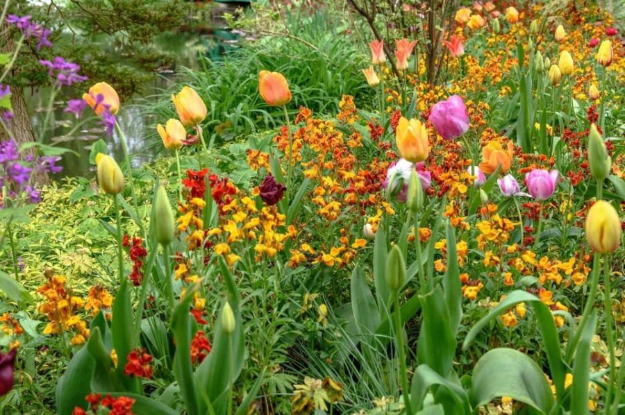 Paris: Giverny Private Half-Day Trip to Monets Garden - Overview of the Giverny Trip