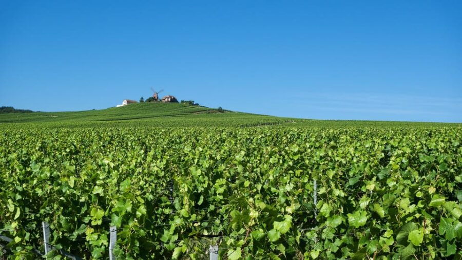 Paris VIP: Champagne Region Private Chauffeur Driven 12hrs - Overview of the Champagne Region Tour