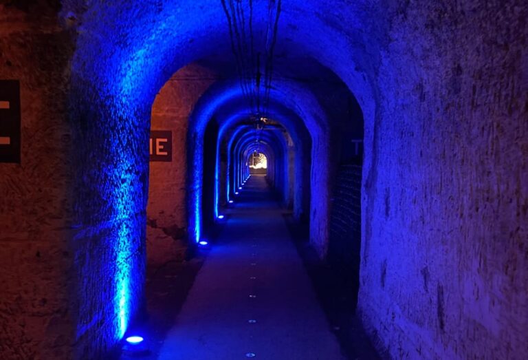 Paris Wine Day Tours All Inclusive Champagne Tour From Paris