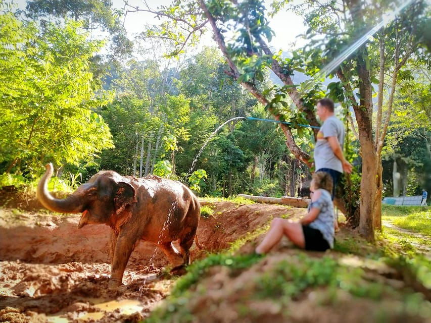 Phuket: Elephant Nature Reserve Entry Ticket and Guided Tour - Overview and Pricing