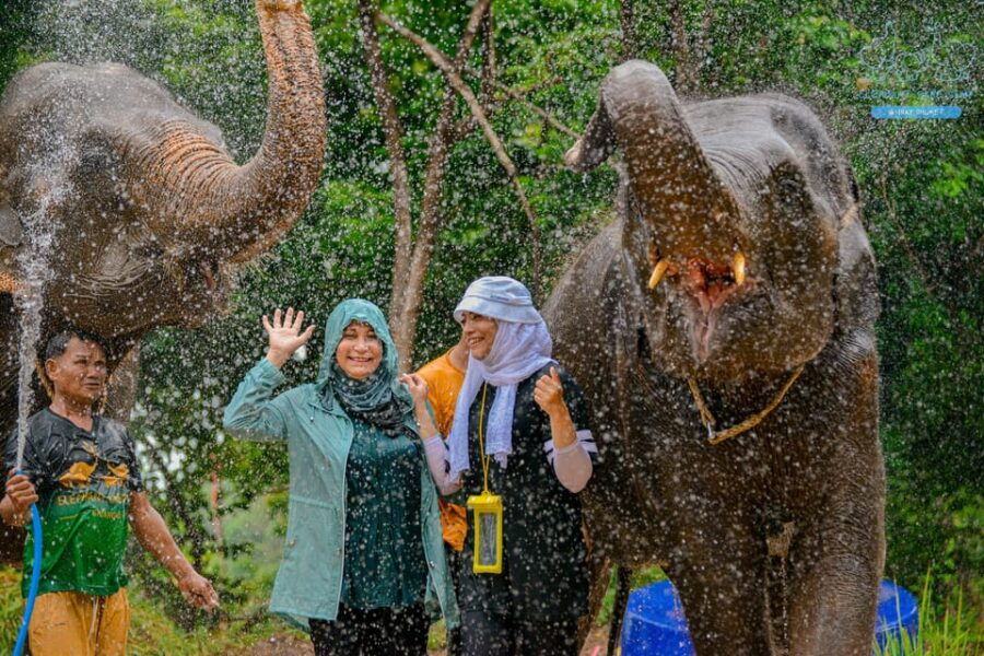 Phuket: Feed and Rain Shower at Elephant Camp With Seaview - Experience Overview