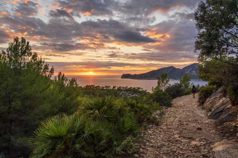 Port Andratx: Hiking Tour Into the Sunset to Sant Elm - Overview of the Hiking Tour